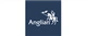 Anglian Home Improvements logo