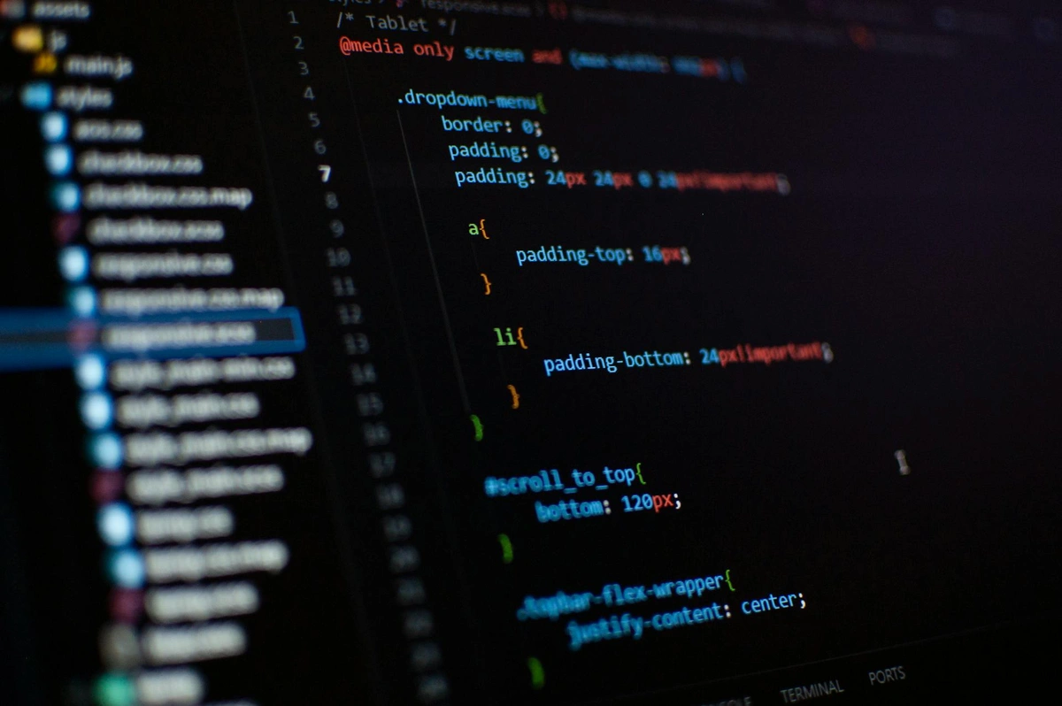 Frontend Technologies in Demand for 2025: Insights from Industry Surveys