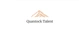 Quantock Talent Limited logo