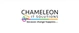 Chameleon IT Solutions Limited logo