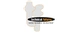 Technical Futures Ltd logo